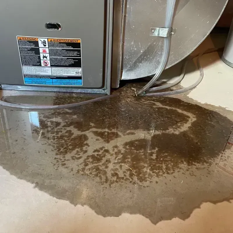 Appliance Leak Cleanup in Clewiston, FL